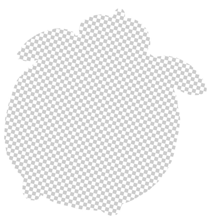 image5